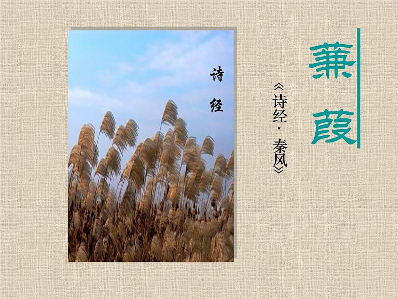 部编版八下语文《蒹葭》课件PPT第1页