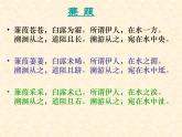部编版八下语文《蒹葭》课件PPT