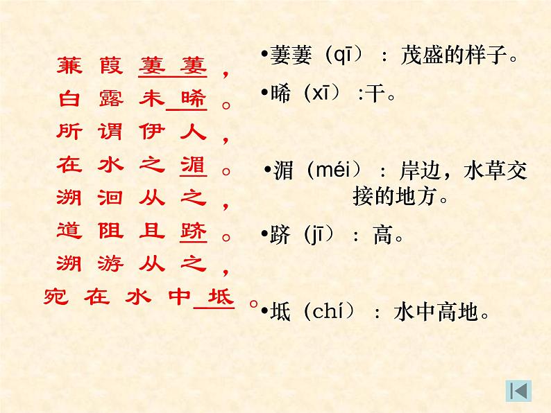 部编版八下语文《蒹葭》课件PPT第4页