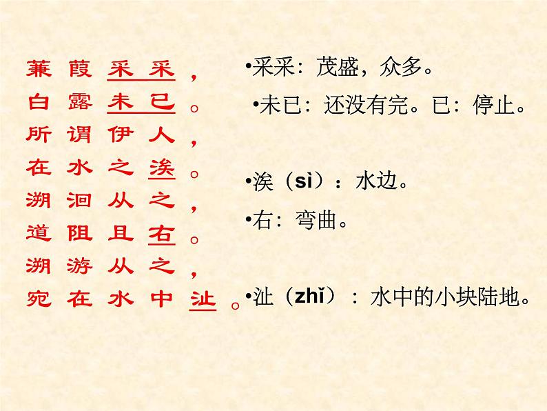 部编版八下语文《蒹葭》课件PPT第5页