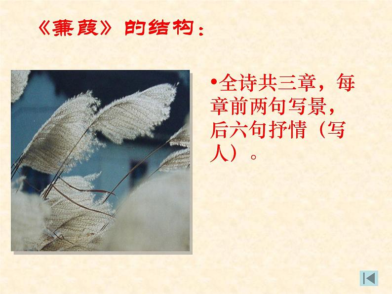 部编版八下语文《蒹葭》课件PPT第8页