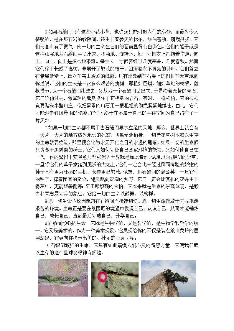 专题02  状物散文阅读第3页