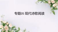 专题05 现代诗歌阅读课件PPT