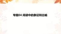 专题04  阅读中的象征和比喻课件PPT