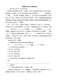 苏教版中考语文中考模拟试卷十（含答案）