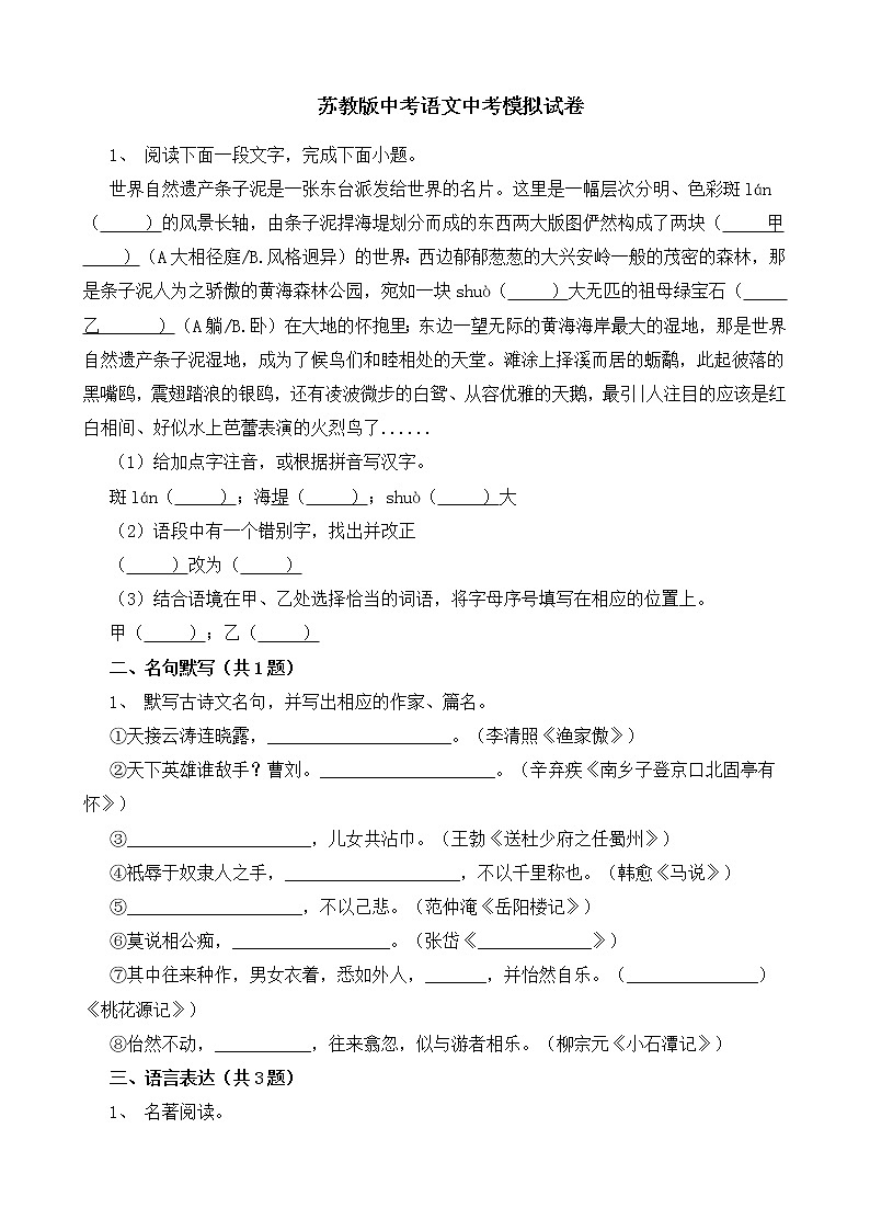 苏教版中考语文中考模拟试卷八（含答案）01