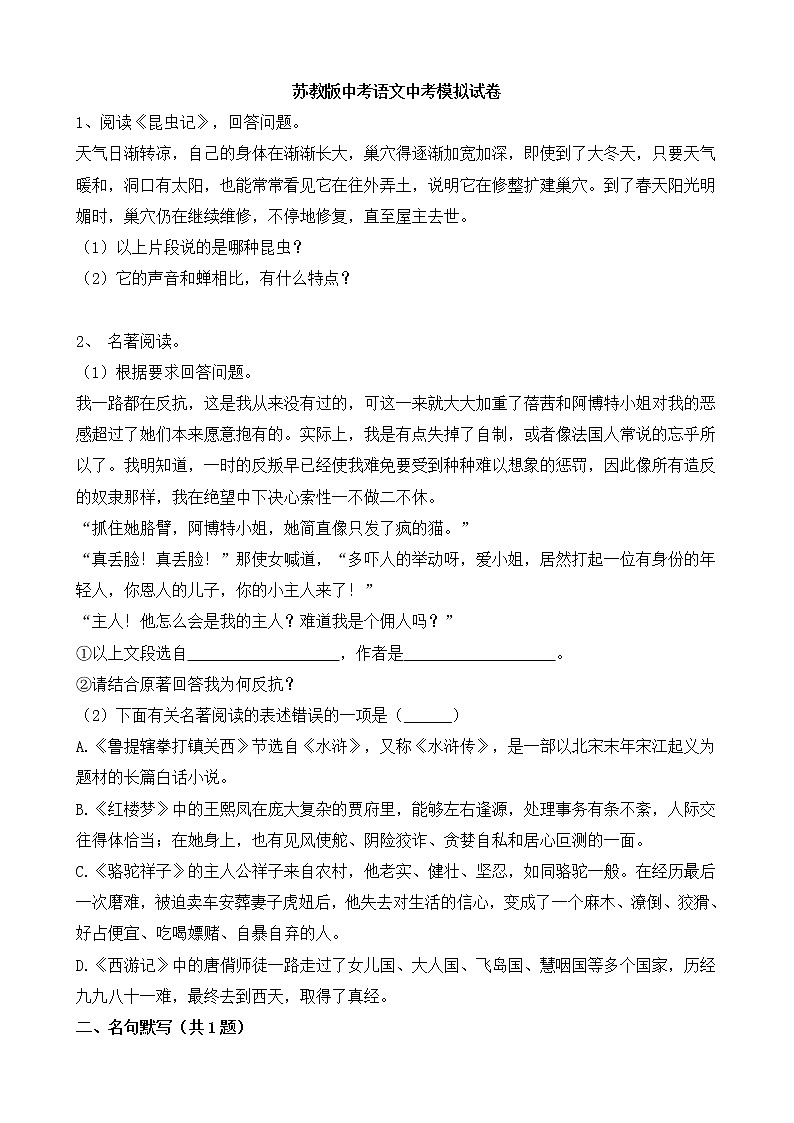 苏教版中考语文中考模拟试卷四（含答案）01