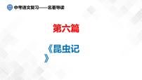 第6篇：《昆虫记》-中考语文名著导读 课件+练习