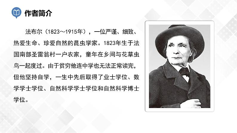 第6篇：《昆虫记》课件第4页