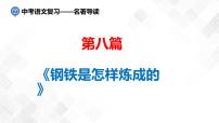 第8篇：《钢铁是怎样炼成的》-中考语文名著导读 课件+练习