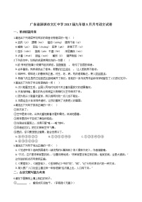 广东省深圳市文汇中学2017届九年级3月月考语文试卷（含答案解析）