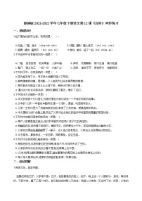 初中语文人教部编版七年级下册台阶课时作业