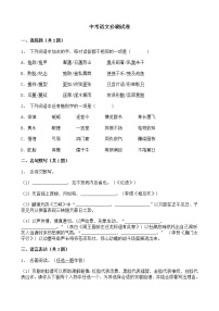 (河南专用)中考语文必刷试卷06（含答案解析）.doc