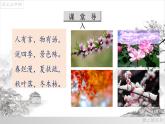 05《大自然的语言》课件-八年级语文下册（部编版）