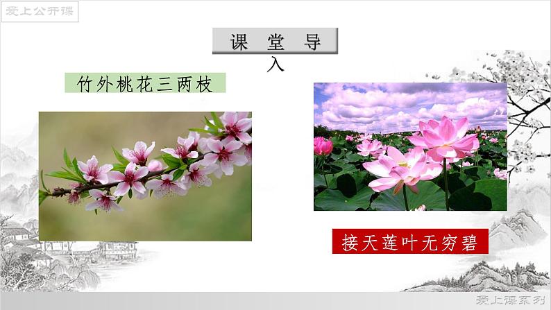 05《大自然的语言》课件-八年级语文下册（部编版）04