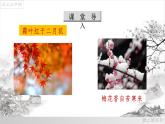 05《大自然的语言》课件-八年级语文下册（部编版）
