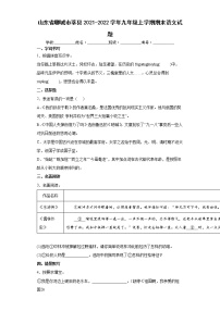 山东省聊城市莘县2021-2022学年九年级上学期期末语文试题（word版 含答案）