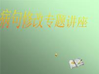 2022年中考语文二轮专题复习：病句修改（共31张PPT）