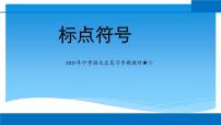 2022年中考语文二轮专题复习：标点符号课件（48张PPT）