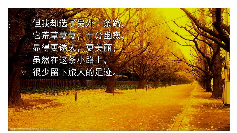 部编版七年级语文下册--20 外国诗二首 未选择的路-课件07