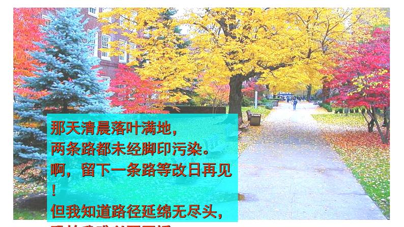 部编版七年级语文下册--20 外国诗二首 未选择的路-课件08