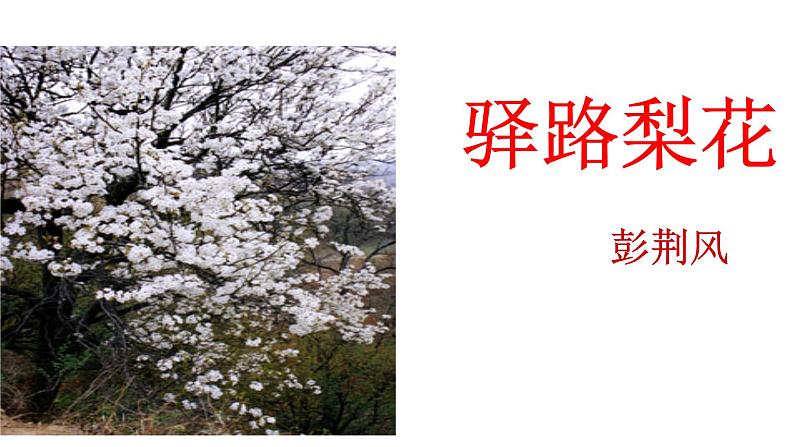 部编版七年级语文下册--15 驿路梨花-课件第1页