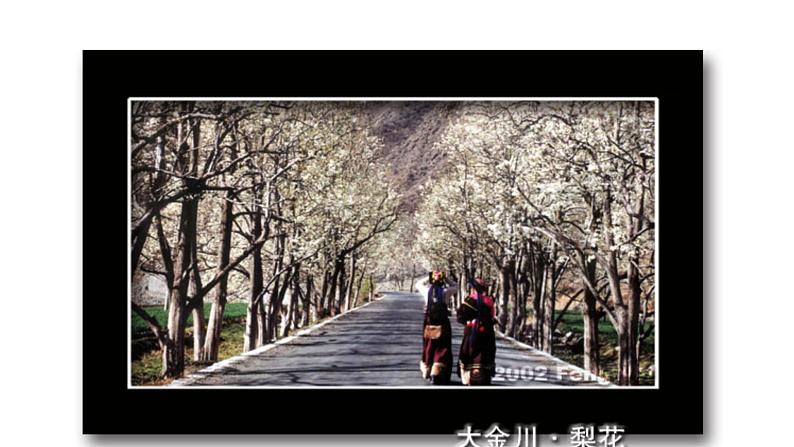 部编版七年级语文下册--15 驿路梨花-课件第5页