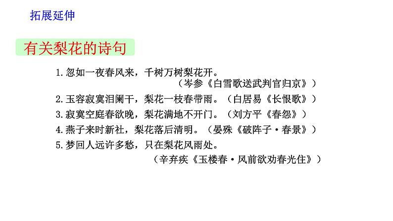 部编版七年级语文下册--15 驿路梨花-课件第6页