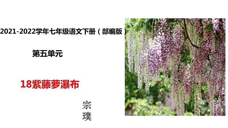 部编版七年级语文下册--18 紫藤萝瀑布 课件第1页