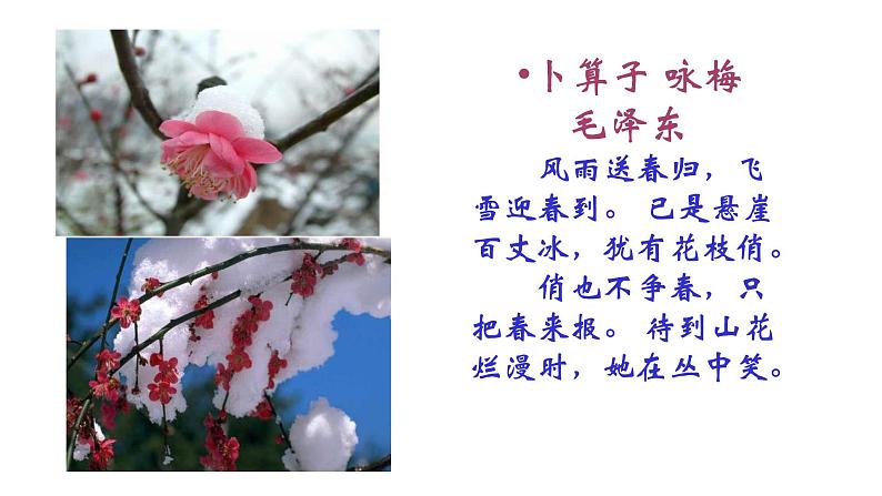 部编版七年级语文下册--18 紫藤萝瀑布 课件第2页