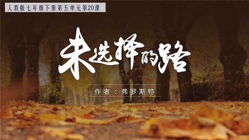 部编版七年级语文下册--第20课《外国诗两首》《未选择的路》课件PPT02