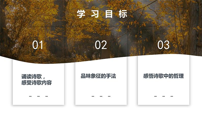 部编版七年级语文下册--第20课《外国诗两首》《未选择的路》课件PPT03