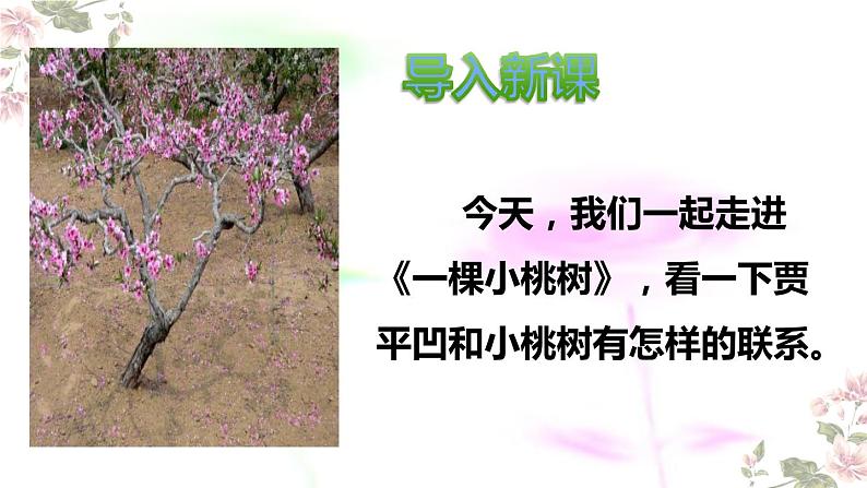 部编版七年级语文下册--19.一棵小桃树 课件04