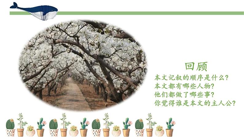 部编版七年级语文下册--15.驿路梨花 2课时课件04