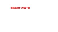 初中语文人教部编版七年级下册13 卖油翁课文配套ppt课件