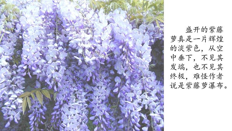 第一课时第6页