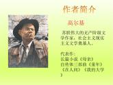部编版4 海燕课件PPT