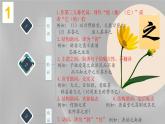 15个文言文重点虚词及特殊句式翻译 课件——湖南省2021中考语文专项复习