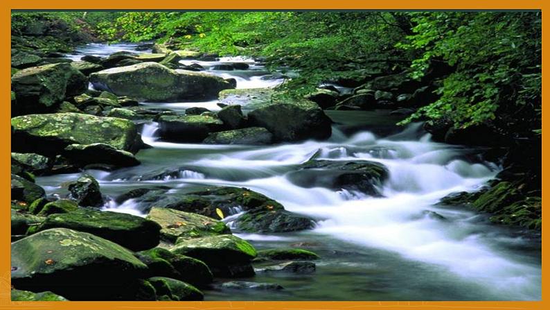 2022年中考二轮专题复习：学习描写景物课件（23张PPT）第4页