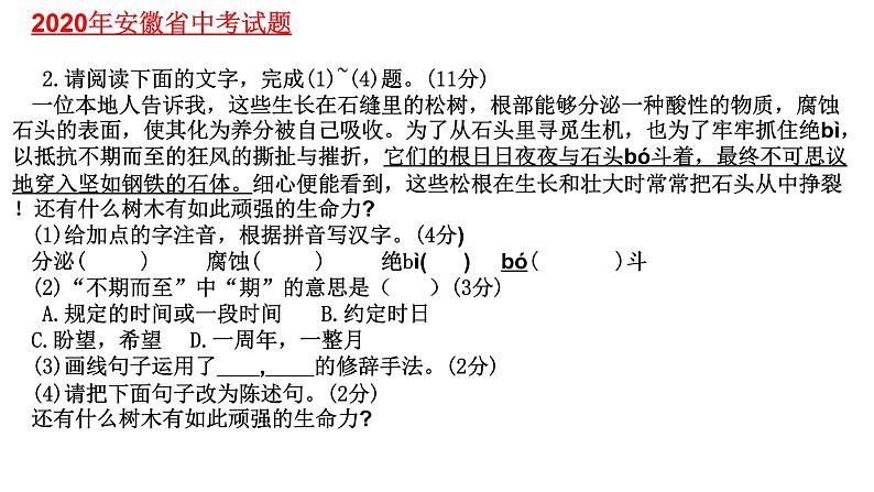 2022年安徽省中考语文复习：小语段阅读习题课件（41张PPT）03