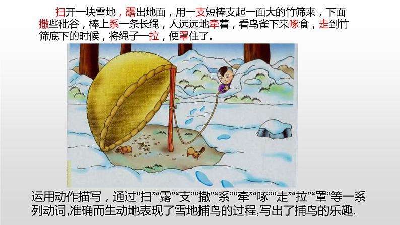 2022年中考总复习：描写方法指导课件（共29张PPT）第3页