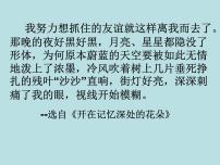 中考语文作文复习--以景衬情课件