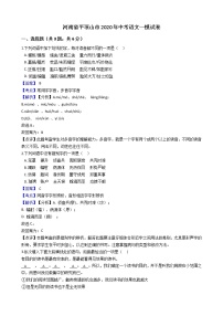 2020河南省平顶山市初三一模语文试卷及答案