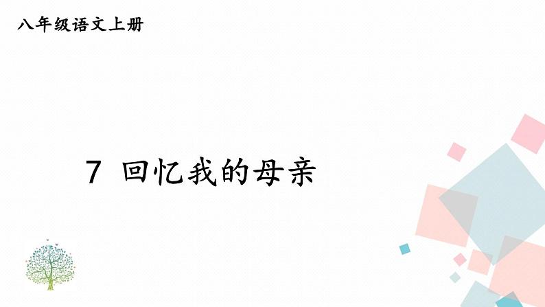 人教部编版 (五四制)语文八年级上册 第二单元  7 回忆我的母亲【课件+教案+音视频素材】02