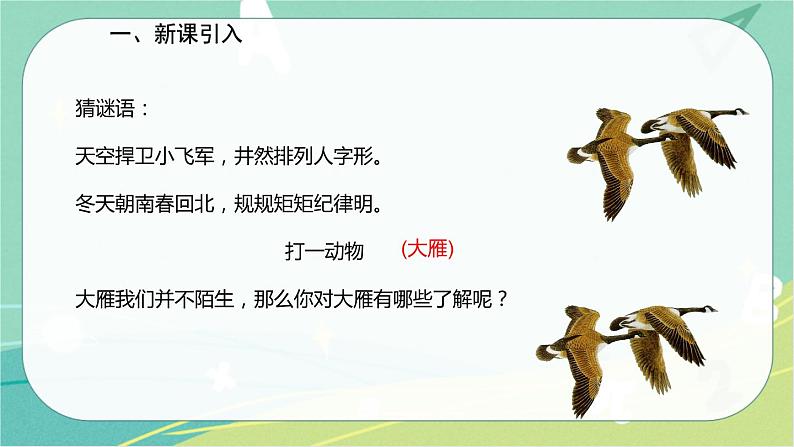 7 大雁归来-2021-2022学年八年级语文下册同步教学课件（部编版）02