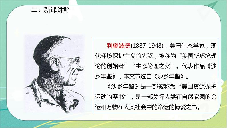 7 大雁归来-2021-2022学年八年级语文下册同步教学课件（部编版）03