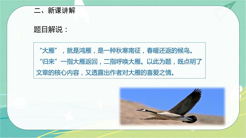 7 大雁归来-2021-2022学年八年级语文下册同步教学课件（部编版）04