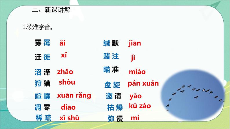 7 大雁归来-2021-2022学年八年级语文下册同步教学课件（部编版）06