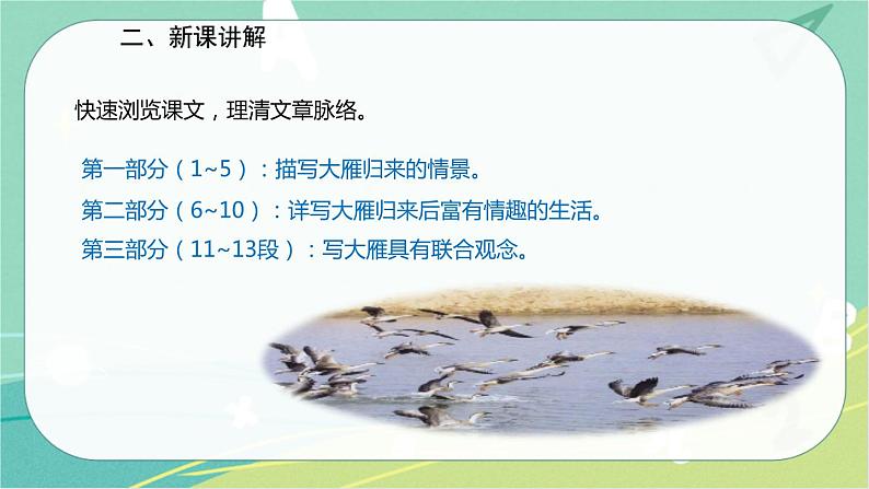 7 大雁归来-2021-2022学年八年级语文下册同步教学课件（部编版）07