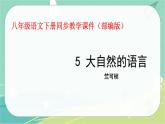5 大自然的语言-2021-2022学年八年级语文下册同步教学课件（部编版）